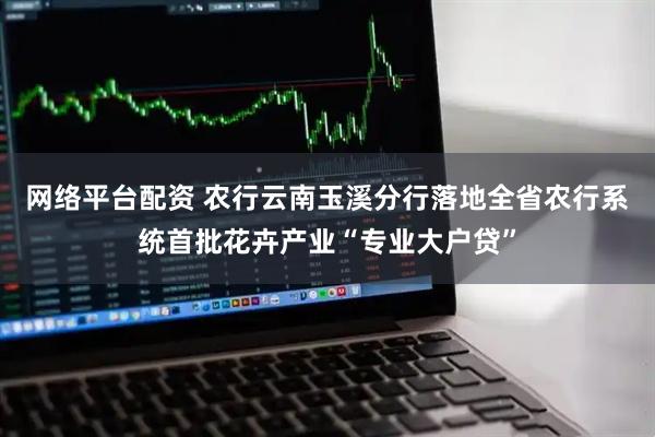 网络平台配资 农行云南玉溪分行落地全省农行系统首批花卉产业“专业大户贷”